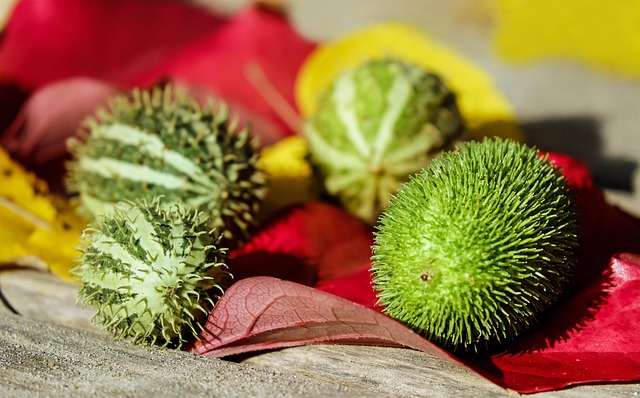 energy consumption analytics screen with bar charts and efficiency metrics