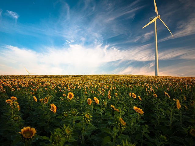 renewable energy consultant reviewing solar farm monitoring data on laptop in Canadian landscape